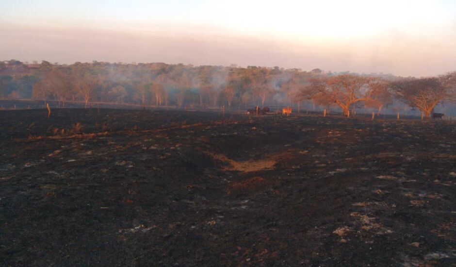 O fogo assustou produtores, que correram para salvar os animais