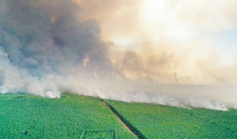 O fogo já destruiu no Estado um área de 2,3 milhões de hectares