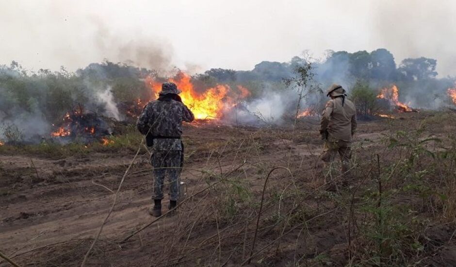 IO pantanal de Mato Grosso do Sul teve 1,9 milhões de hectares atingidos pelo fogo em 2020, de acordo com dados do Lasa/UFRJ.