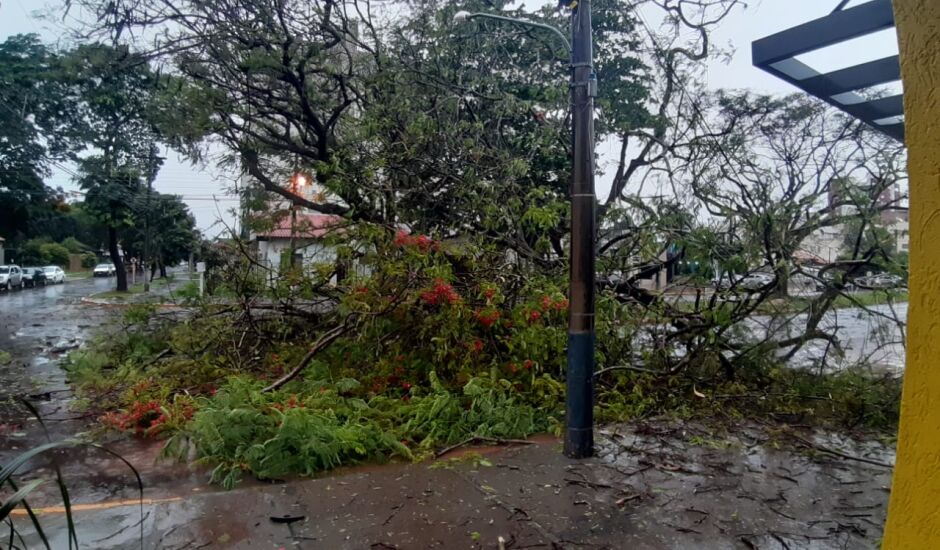 Após tempestade, 9 bairros de Dourados estão há quase 2 dias sem energia