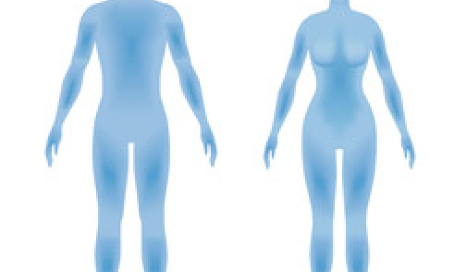 Conheça 10 fatos curiosos sobre o funcionamento do corpo humano