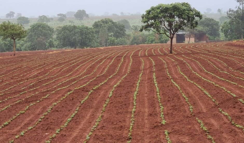 O objetivo, de acordo com o Sindicato Rural é estimular o desenvolvimento de novas culturas agrícolas