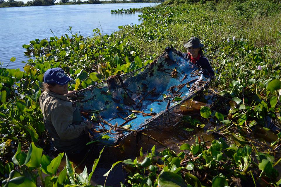 Mulheres catadoras de iscas no Pantanal de MS