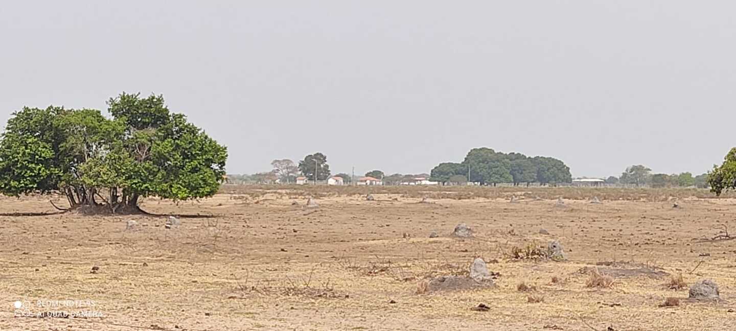 Fazenda em Rio Verde onde o gado foi abandonado