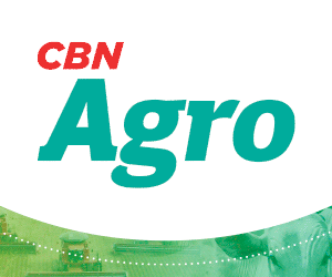 CBN: BANNER CBN AGRO 24.04.2023